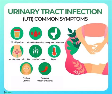 Urinary tract infections (UTIs): Causes, symptoms and treatment